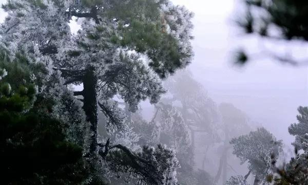 两会之声|中国商飞张玉金:预计今年C919产能逐步扩大,三至五年内投百亿扩产